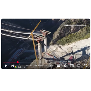 The way the Chinese "shaman"