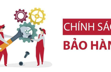Chính sách bảo hành
